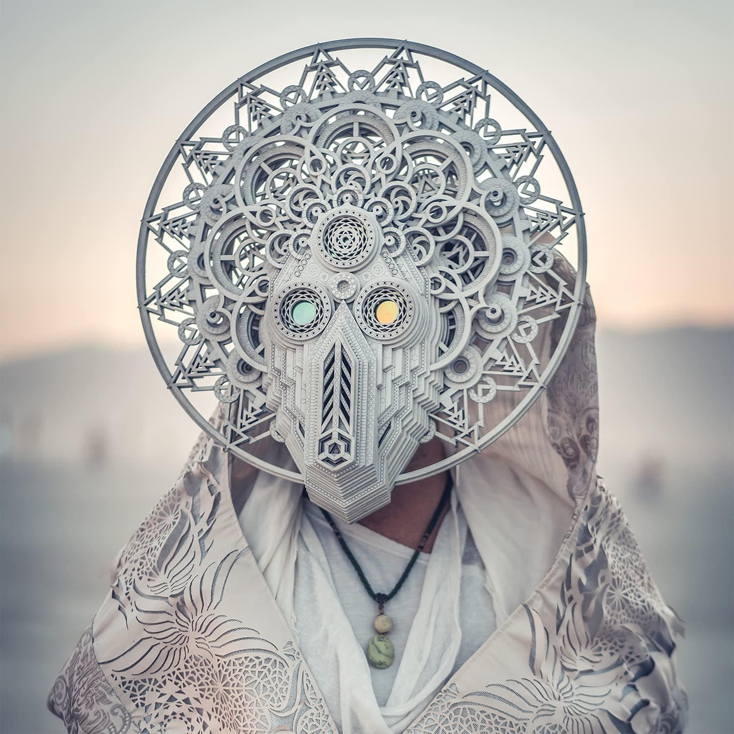 The Architect [Vinyl] Eidola por Eidola — capa do álbum
