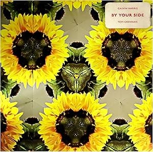 BY YOUR SIDE (PICTURE DSIC) por Calvin / Grennan, Tom Harris — capa do álbum