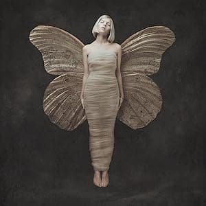 All My Demons Greeting Me As a Friend [Disco de Vinil] por Aurora — capa do álbum