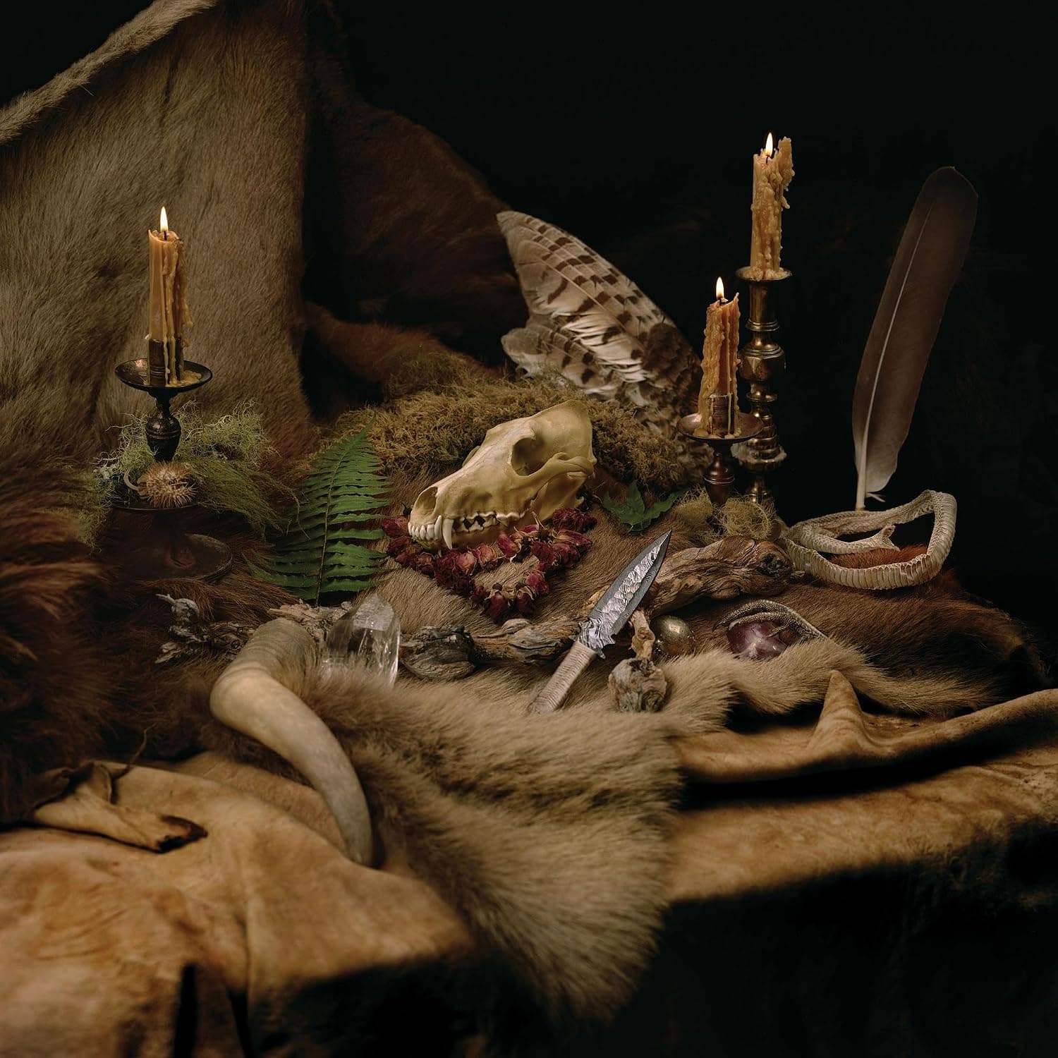 Primordial Arcana [Disco de Vinil] por Wolves in the Throne Room — capa do álbum