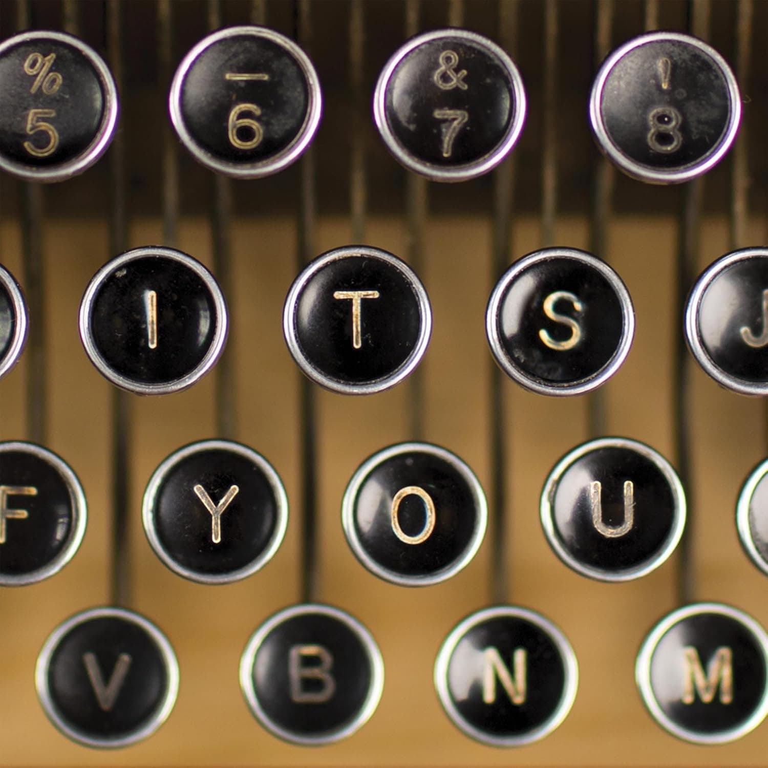 It's You [Disco de Vinil] por Umphrey's McGee — capa do álbum