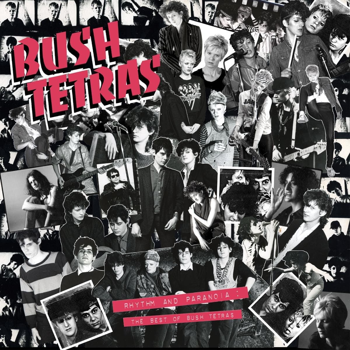 Rhythm & Paranoia: The Best of Bush Tetras [Disco de Vinil] por Bush Tetras — capa do álbum