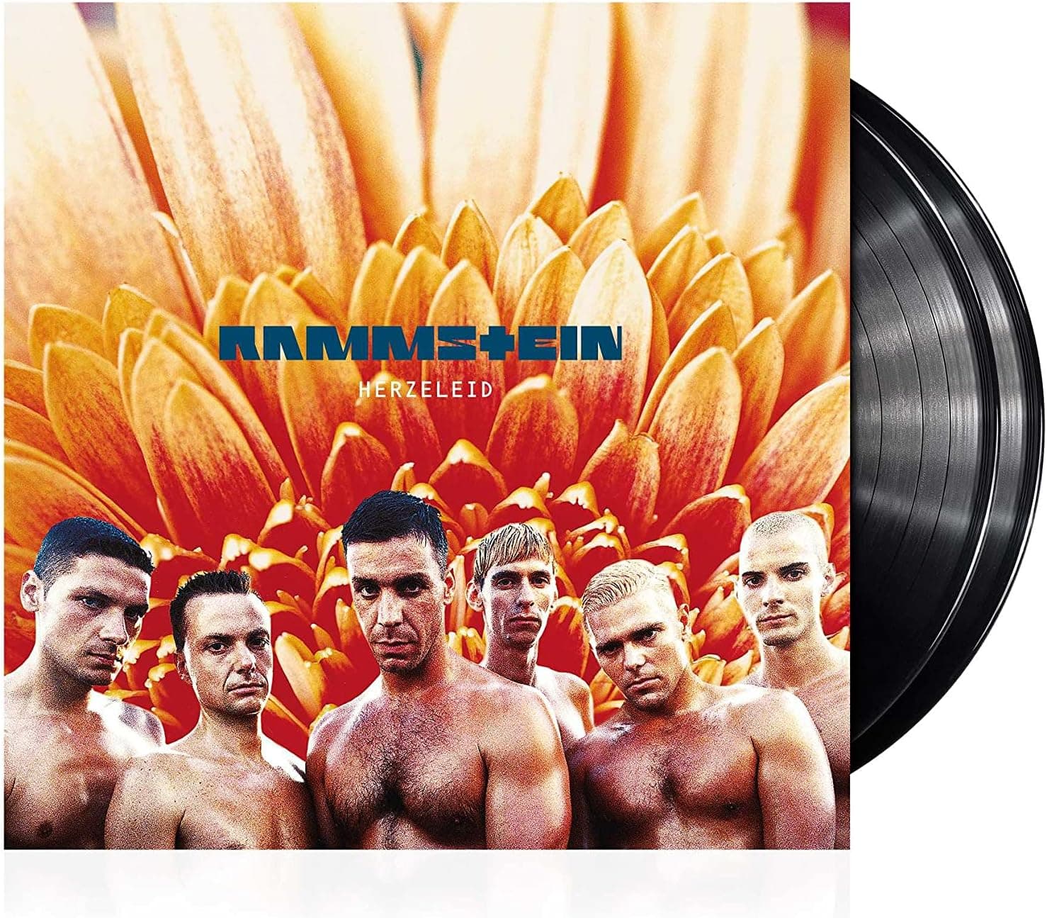 Herzeleid [Disco de Vinil] por Rammstein — capa do álbum