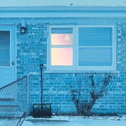 The Window (PINK & BLUE VINYL) por Ratboys — capa do álbum