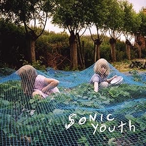 Murray Street [Disco de Vinil] por Sonic Youth — capa do álbum