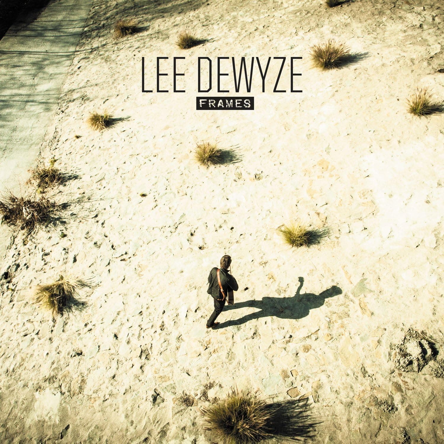 Frames [Disco de Vinil] por Lee Dewyze — capa do álbum