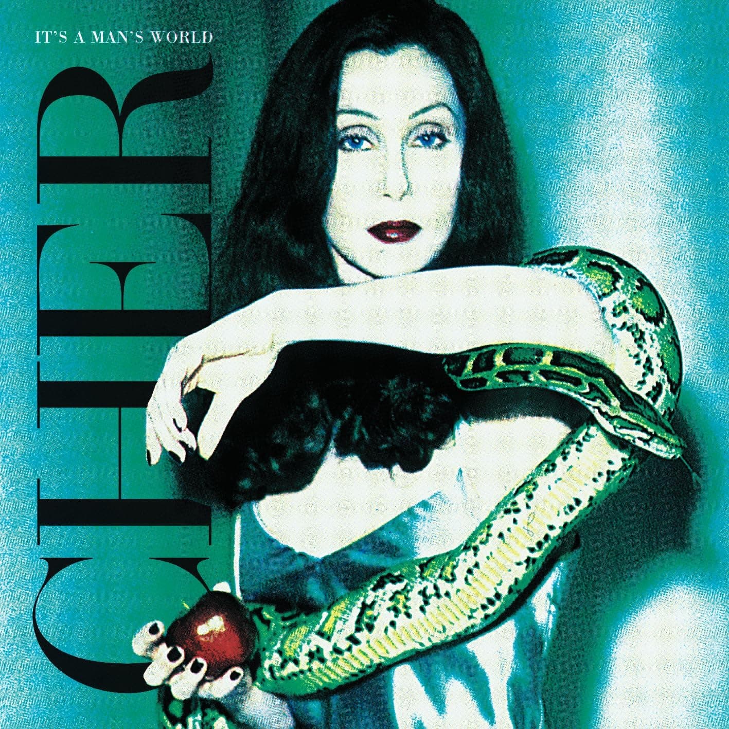 It's A Man's World (2023 Remaster 2LP) [VINYL] por Cher — capa do álbum