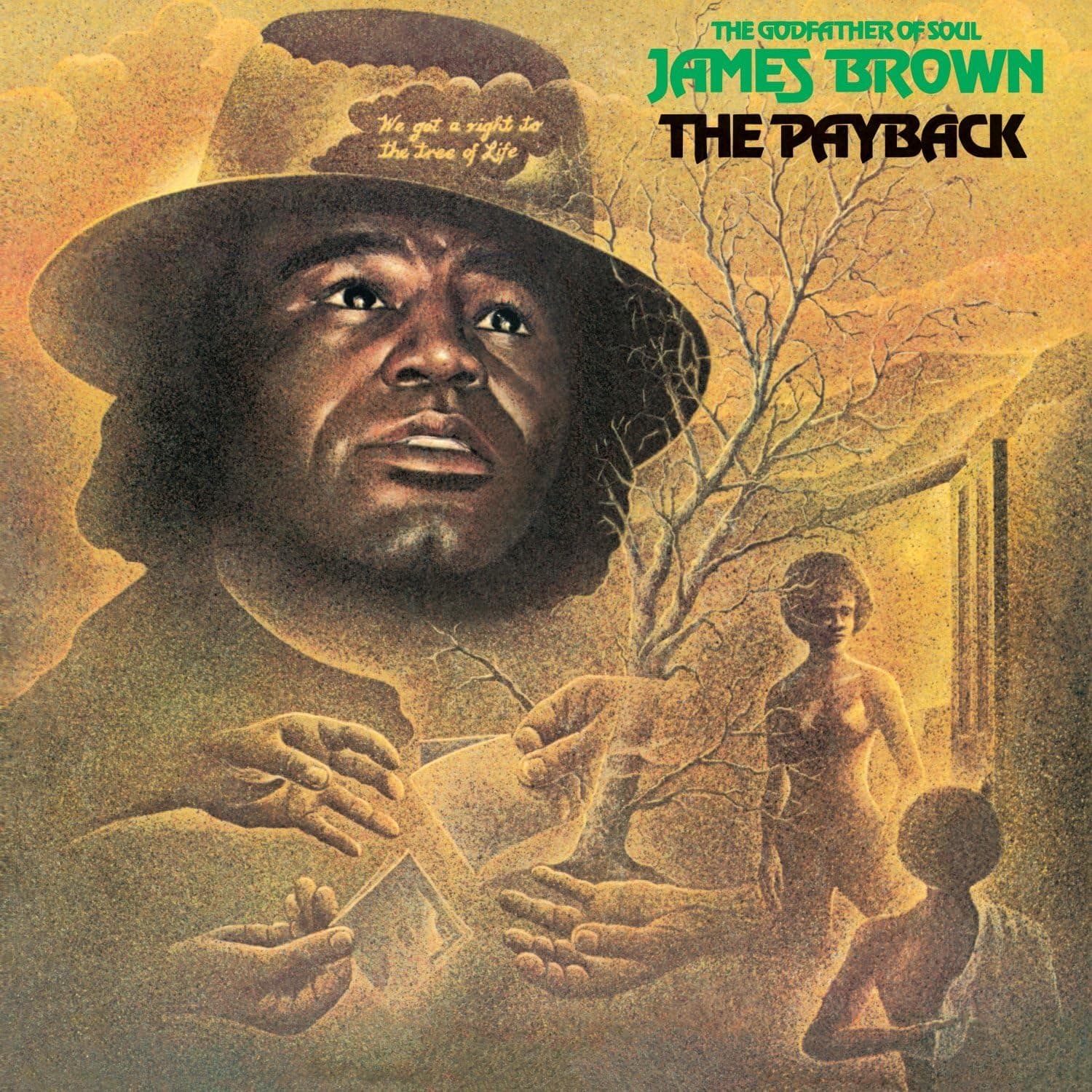 Payback [Disco de Vinil] por James Brown — capa do álbum