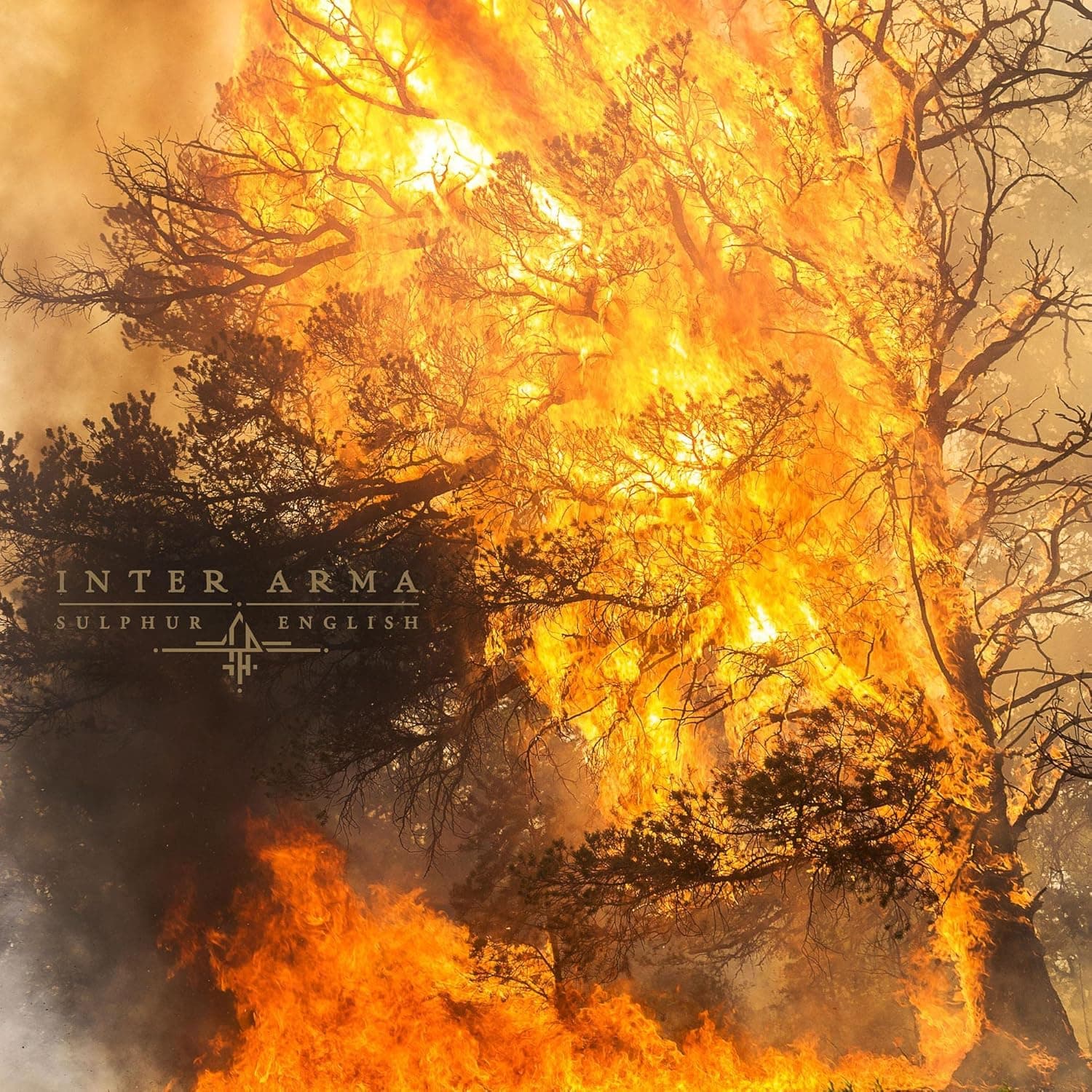 Sulphur English [Disco de Vinil] por Inter Arma — capa do álbum