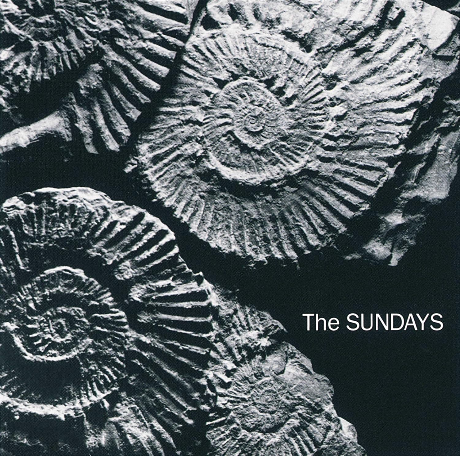 Reading, Writing And Arithmetic[Grey LP] por The Sundays — capa do álbum