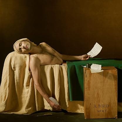 My Finest Work Yet [Disco de Vinil] por Andrew Bird — capa do álbum