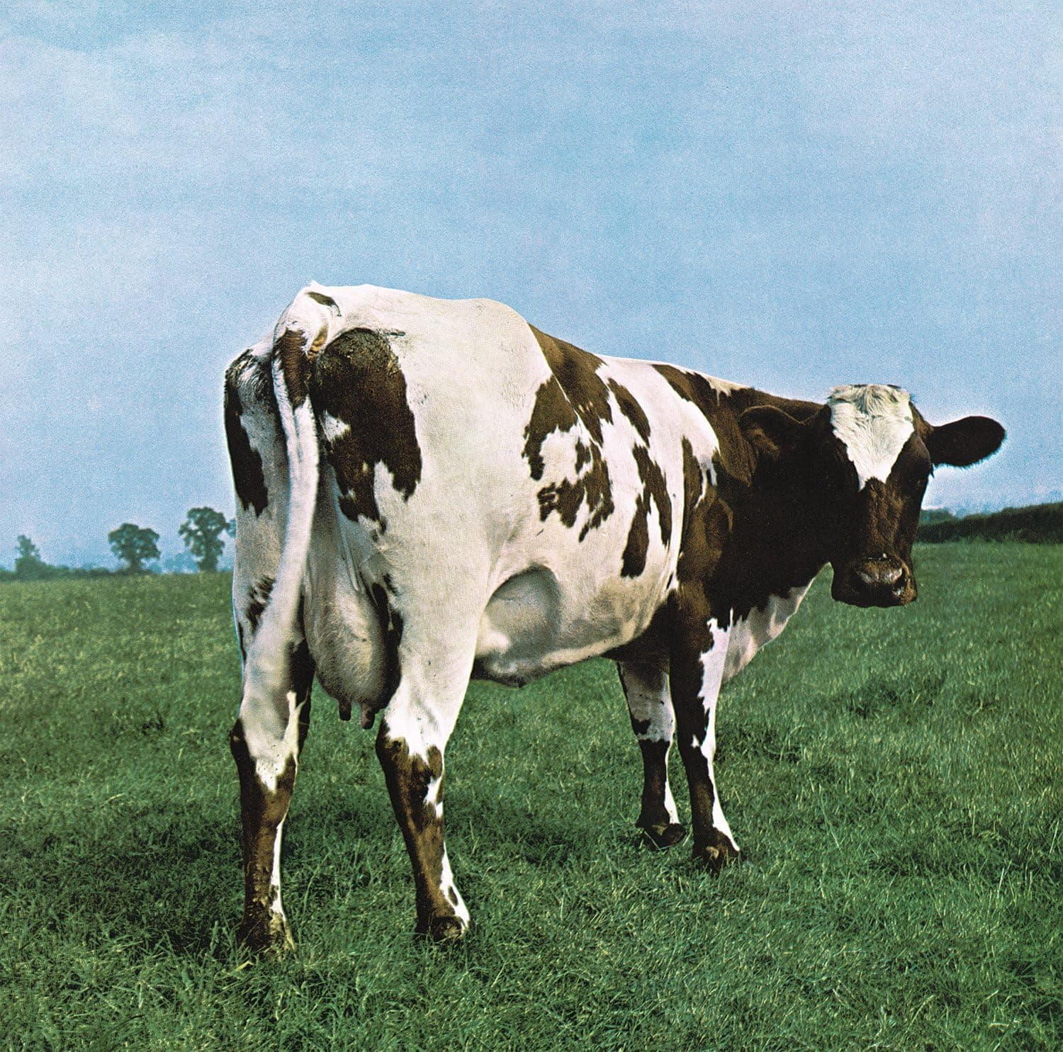 Atom Heart Mother por Pink Floyd — capa do álbum