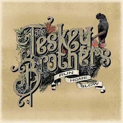 Run Home Slow por The Teskey Brothers — capa do álbum