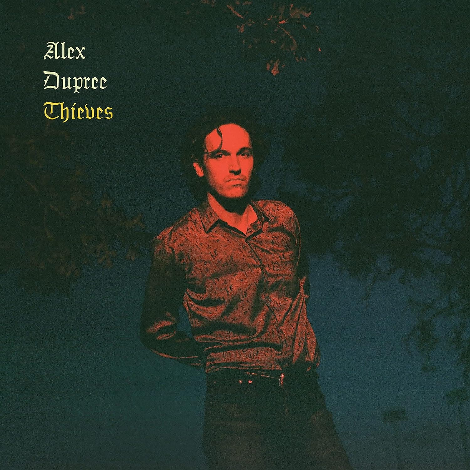 Gathering [Import] (Canada - Import) por Alex Dupree — capa do álbum