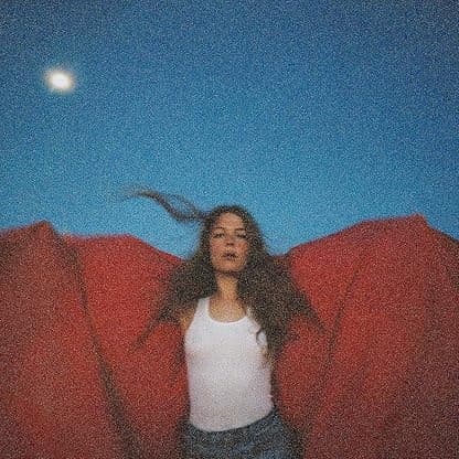 Heard It In A Past Life [Disco de Vinil] por Maggie Rogers — capa do álbum