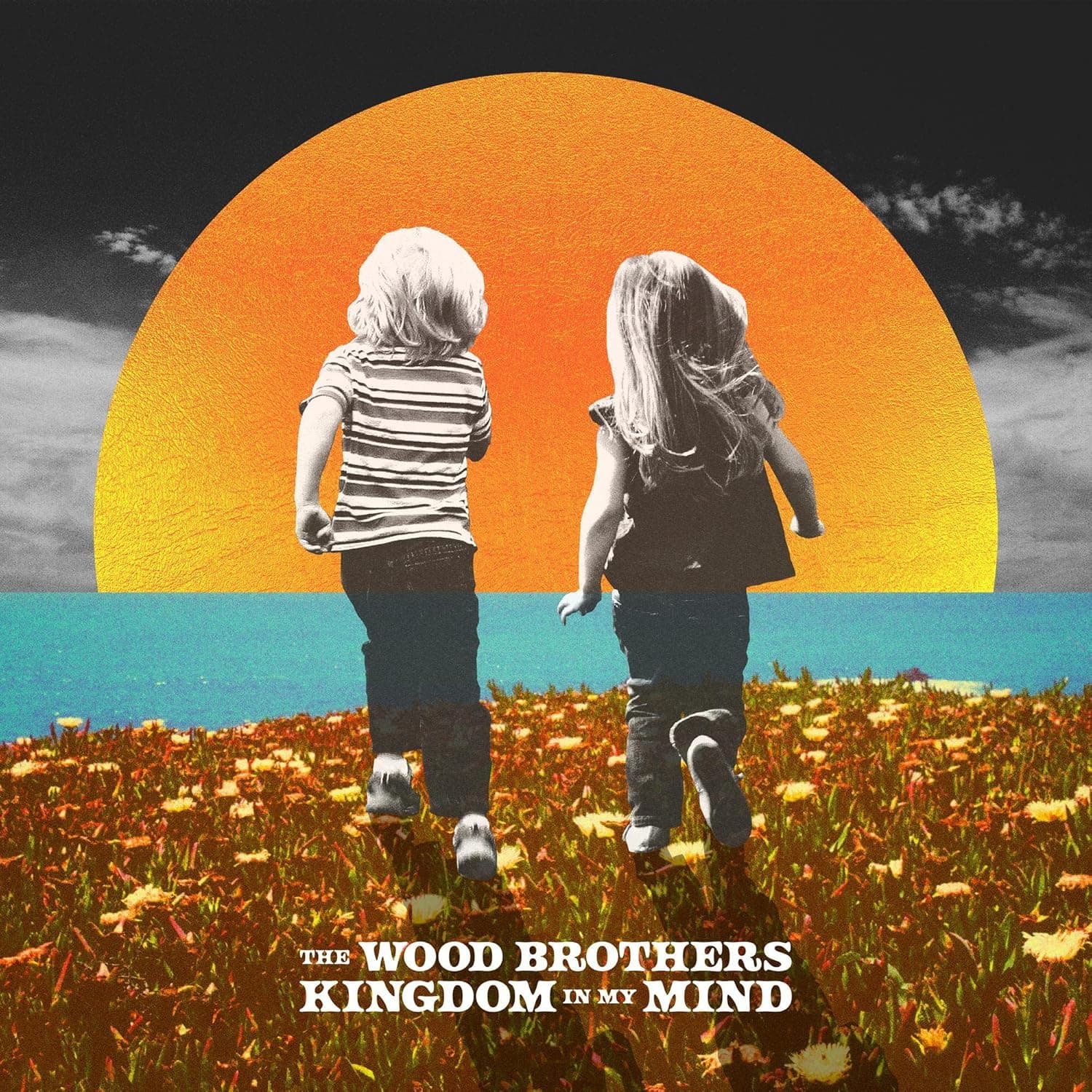 Kingdom In My Mind [Disco de Vinil] por The Wood Brothers — capa do álbum