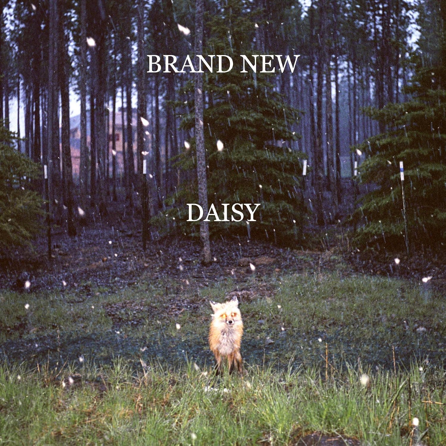 Daisy por Brand New — capa do álbum