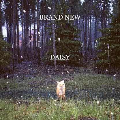 Daisy por Brand New — capa do álbum