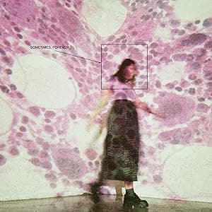 Sometimes, Forever[Bone LP] por Soccer Mommy — capa do álbum