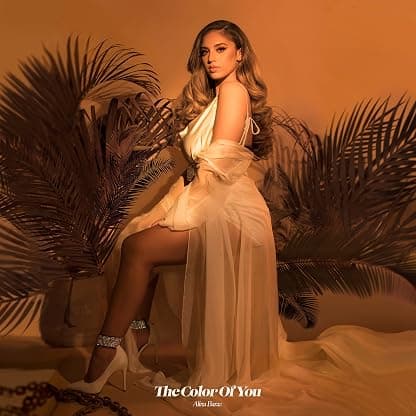 Color Of You por Alina Baraz — capa do álbum