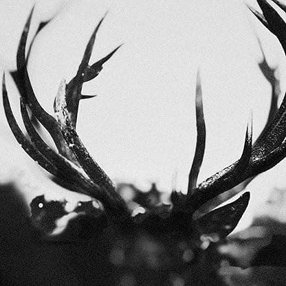 IHSAHN - Black Yolk por Ihsahn — capa do álbum