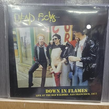 LP DOWN IN FLAMES (IMPORTADO) por Dead Boys — capa do álbum