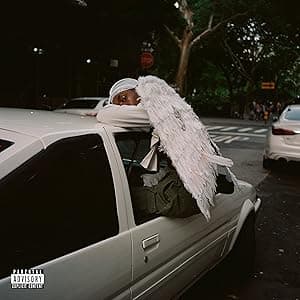 Negro Swan [Disco de Vinil] por Blood Orange — capa do álbum