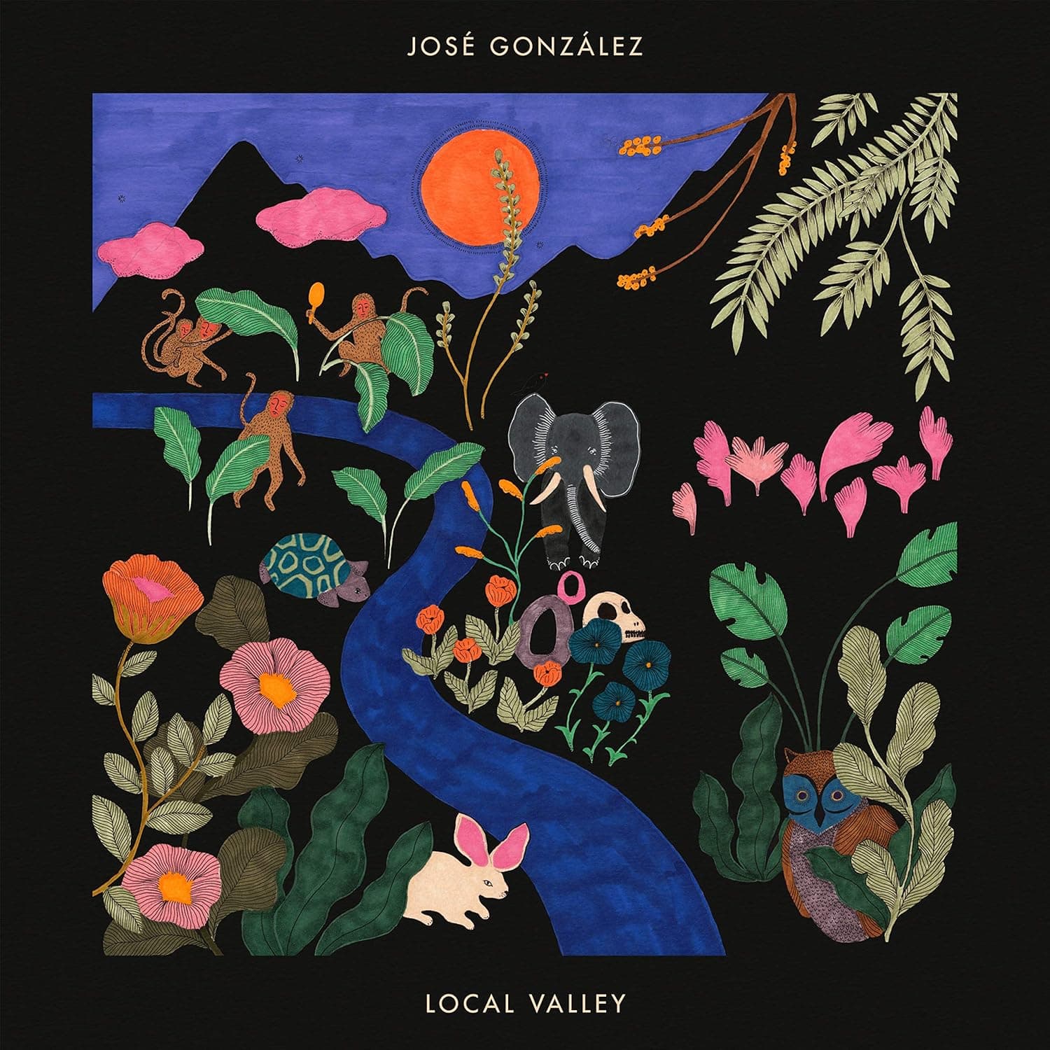 Local Valley (INDIE EX Green Vinyl) por José González — capa do álbum
