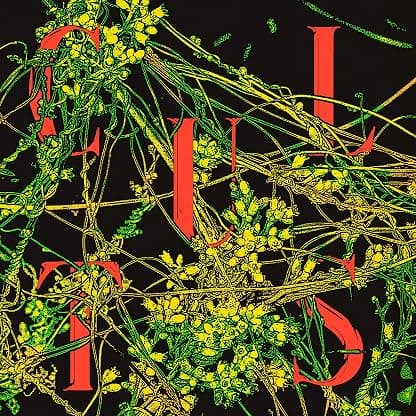 Host [Disco de Vinil] por Cults — capa do álbum