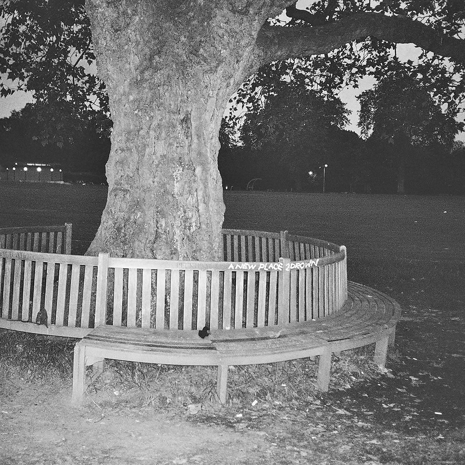 A New Place 2 Drown [Disco de Vinil] por Artista não identificado — capa do álbum