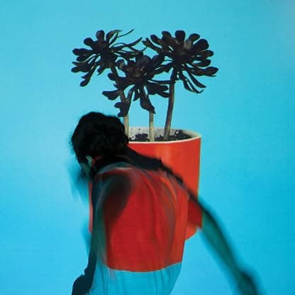 Sunlit Youth [Disco de Vinil] por Local Natives — capa do álbum