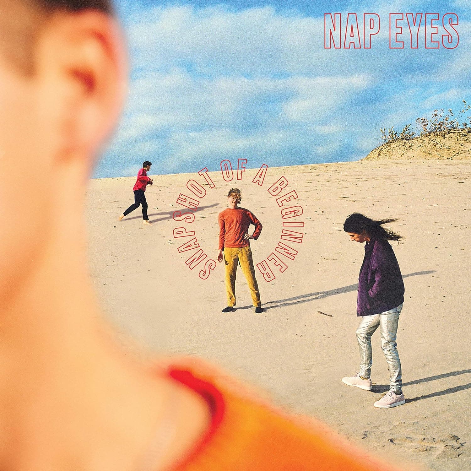 Snapshot of a Beginner [Disco de Vinil] por Nap Eyes — capa do álbum