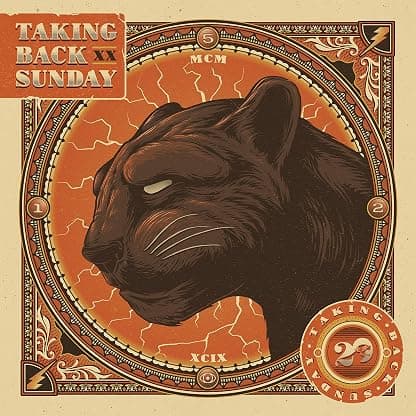 Twenty [Disco de Vinil] por Taking Back Sunday — capa do álbum