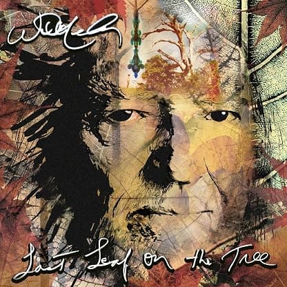 Last Leaf On The Tree [VINYL] por Willie Nelson — capa do álbum