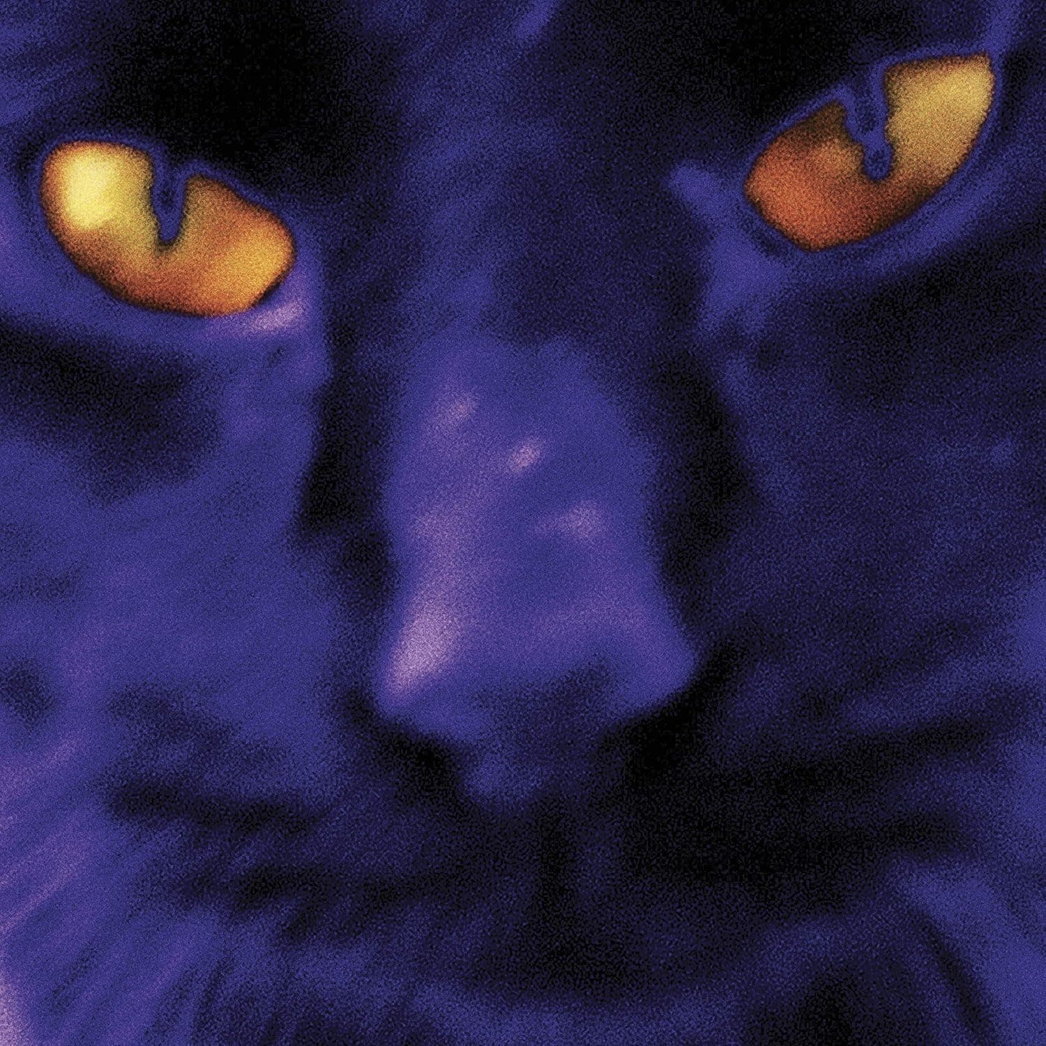 Bobbie's A Girl [Disco de Vinil] por Artista não identificado — capa do álbum