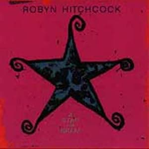 Star for Bram por Robyn Hitchcock — capa do álbum
