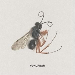 Good Old (Colored Vinyl) por Vundabar — capa do álbum
