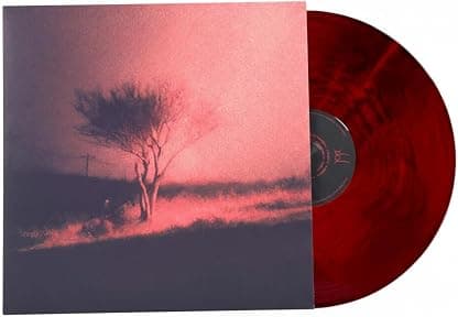 Piss In The Wind Lava Flow Vinyl LP, Joji por Joji — capa do álbum