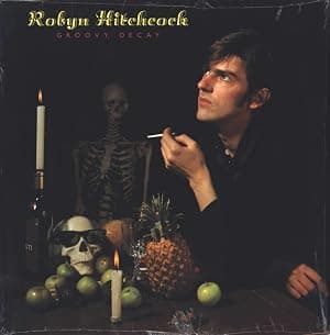 Groovy Decay por Robyn Hitchcock — capa do álbum