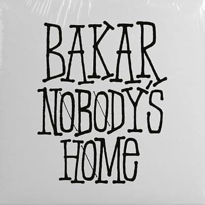 Nobody's Home - Alternate Cover Artwork por Bakar — capa do álbum