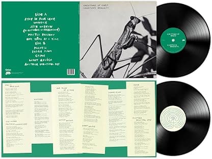 Creature of Habit por Courtney Barnett — capa do álbum