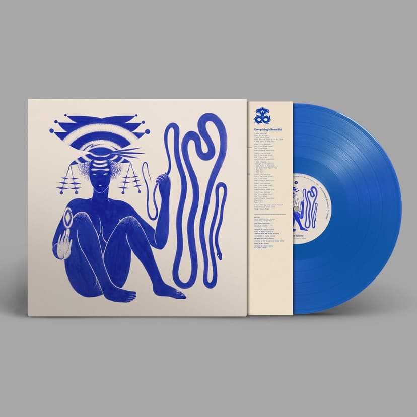 Love Heart Cheat Code (BLUE VINYL) por Hiatus Kaiyote — capa do álbum