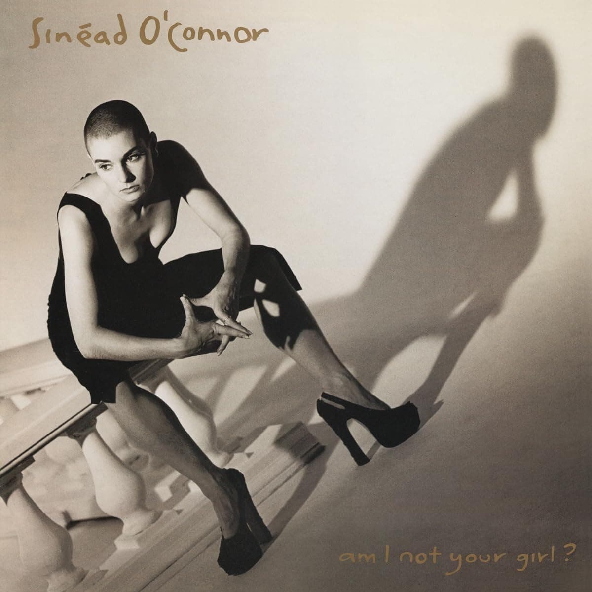 Am I Not Your Girl por Sinead O'Connor — capa do álbum