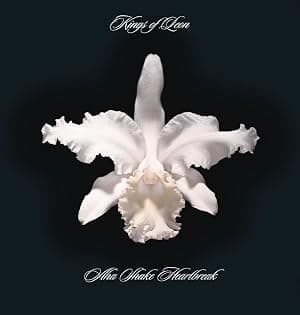 Kings Of Leon - Aha Shake Heartbreak por Kings Of Leon — capa do álbum