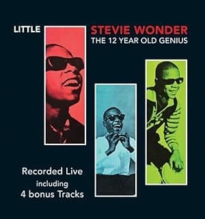 The 12 Year Old Genius por Stevie Wonder — capa do álbum