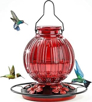 Alimentador de vidro para beija-flor para pendurar ao ar livre, alimentador de néctar de pássaros de 680 g com poleiro e 5 portas de alimentação de flores, à prova de vazamento para decoração de por Artista não identificado — capa do álbum