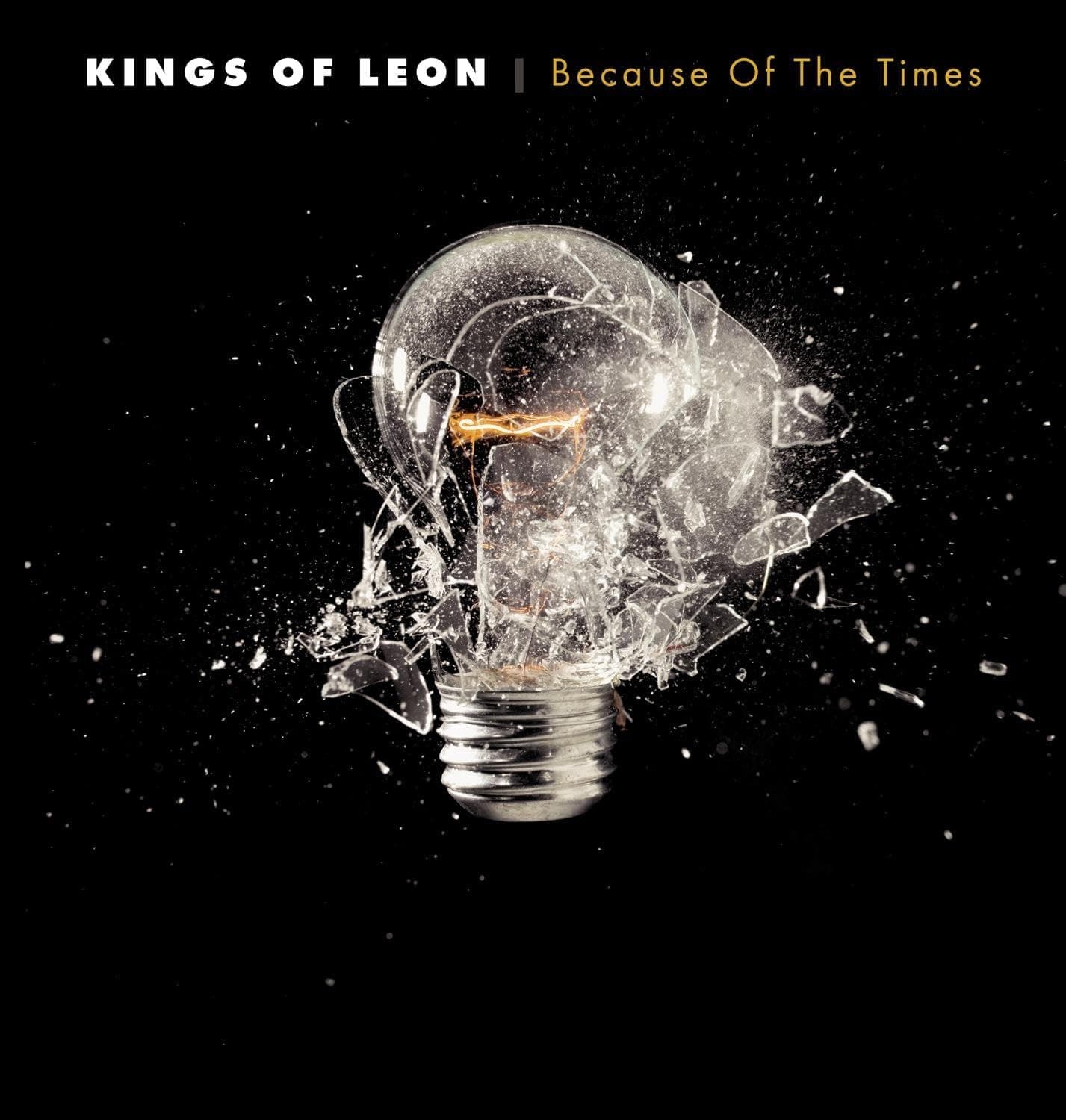 Kings Of Leon - Because Of The Times por Kings Of Leon — capa do álbum