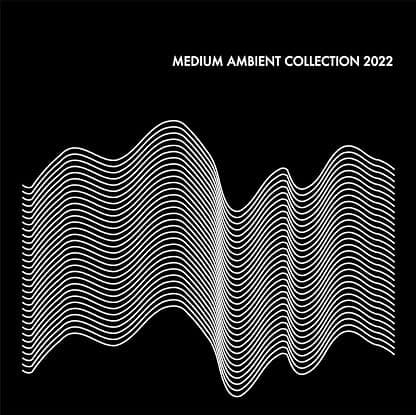 Medium Ambient Collection 2022 Black / Various por Various Artists — capa do álbum