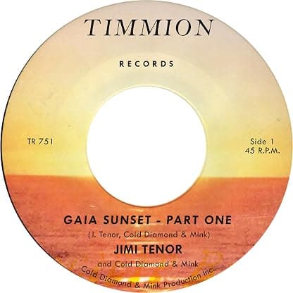GAIA SUNSET por Jimi Tenor & Cold Diamond & Mink — capa do álbum