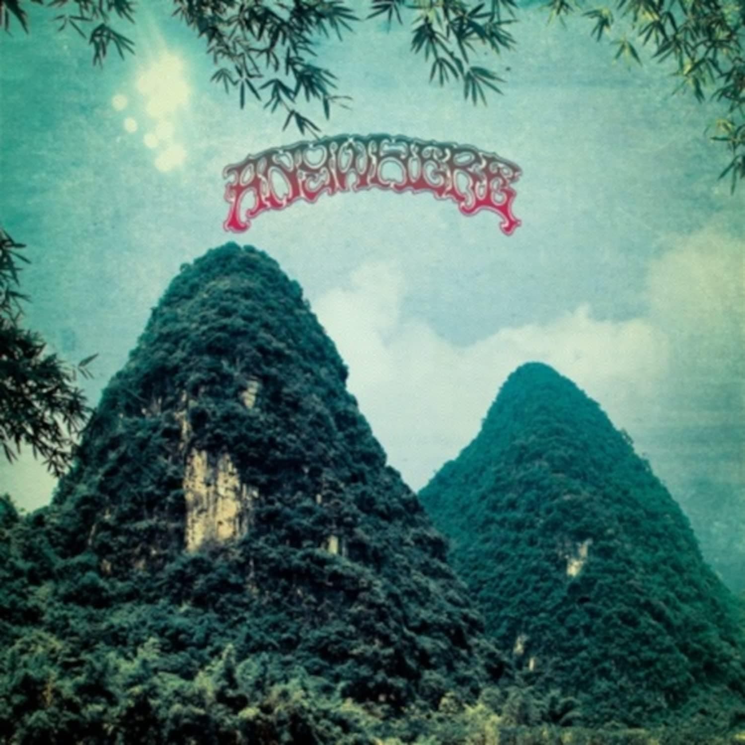Anywhere por Artista não identificado — capa do álbum